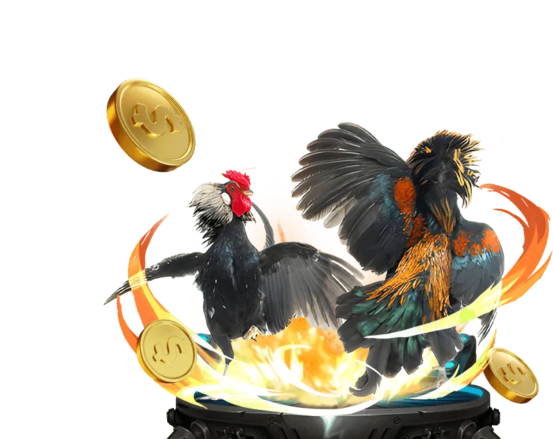 Cá cược Thể thao J8BET